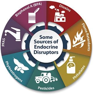 Common Endocrine-Disrupting Chemicals and Women’s Health